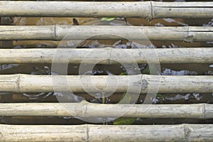 Old bamboo background Leave space to see the water surface.old brown tone bamboo plank fence in water texture for background. This