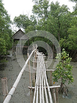 Old Bamboo bridge,hand made constructure in asia