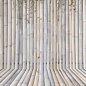 Old bamboo fence , background