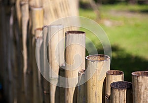 Old bamboo fence in a tropical country. Texture background