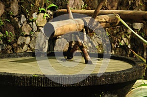 Old bamboo fountain