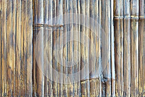Old bamboo wall texture pattern background
