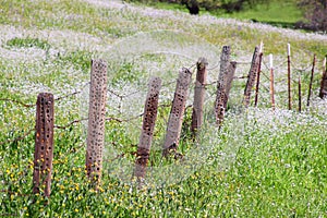 Old barb wire and wooden fence with damage