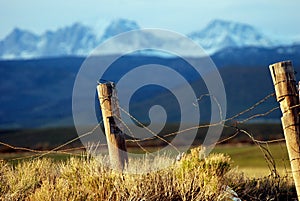 Old Barbed Wire Fence photo