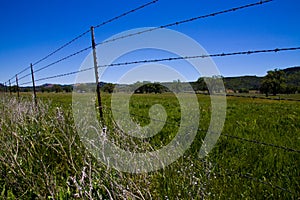 Old Barbed Wire Fence