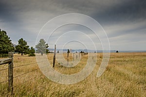 Old Barbed Wire Fence in Dry Field