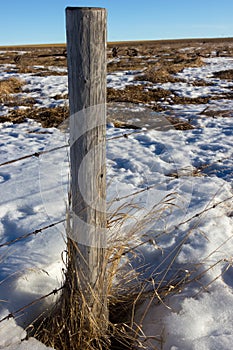 Old barbed wire fence post, Alberta Canada