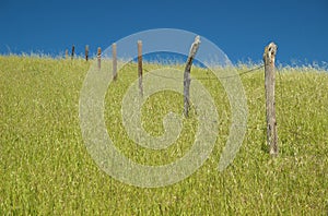 An old barbed wire fence stands alone in the grass