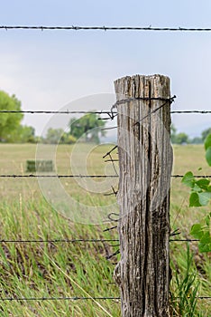 Old barbed wire fence stretched on weathered wood post