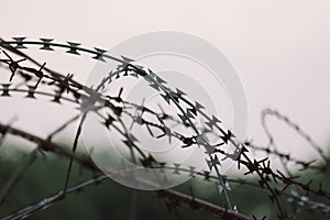 Old barbed wire panel From the fence of the barracks