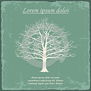 Old bare tree on vintage paper. Vector