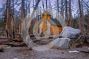 Old barn and burnt trees in Sierra mountains