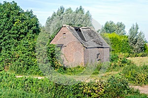 Old barn with collapsed roof of corrugated sheets made with asbestos