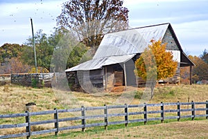 Old Barn/Colorful Tree