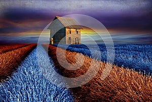 Old barn on colourful lavender field