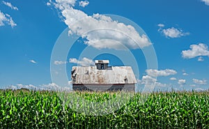 Old Barn in Cornfield With Cloud