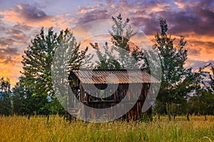 Old barn at the edge of the forest with tall green grass and wild flowers at sunset. Styled stock photo in Romania. Hidden gem