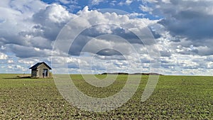 Old barn and empty field after harvesting in sunny day