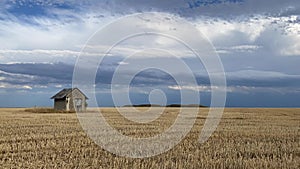 Old barn on the empty field after harvesting in sunny day.