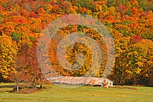 Old barn and Fall colors on hillside