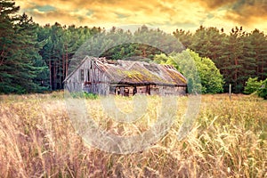 Old barn field