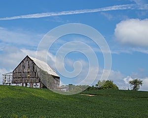 Old barn in the field