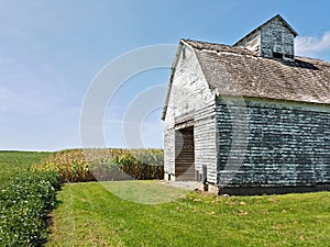 Old barn in a field with blue sky