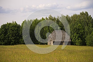 Old barn in a field near the forest