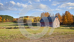 An old barn in a field with trees in autumn color on a bright afternoon in rural northern Wisconsin