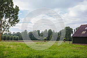 An old barn in a green field next to a forest and hill. Image taken on a partly cloudy day and has a vintage effect applied.