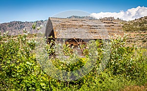 Old barn in green field