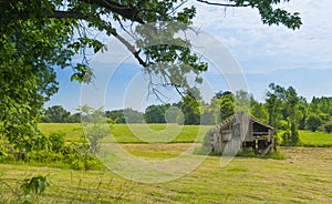 Old Barn in a Hayfield