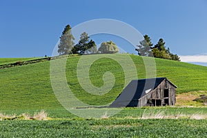 Old barn by hill.