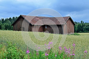 Old barn house under dark clouds photo