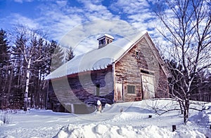 Old Barn in Maine in winter