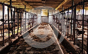 Old Barn Milking Stalls - 2