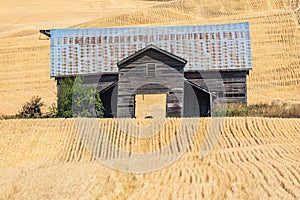 Old Barn  in the Palouse hills
