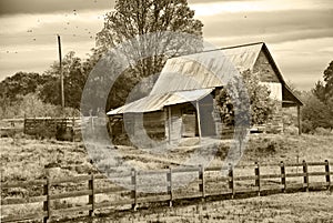 Old Barn/Pasture/Sepia photo