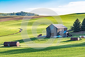 An old barn on a picturesque farm in the Palouse hills