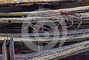 Old Barn Roof, weathered with age