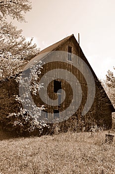 Old barn in sepia