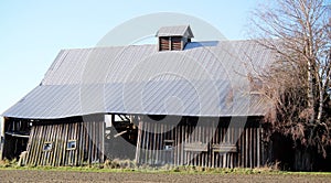 Old Barn Site Photogenic