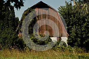 An Old Barn Stands Stately on the Farm