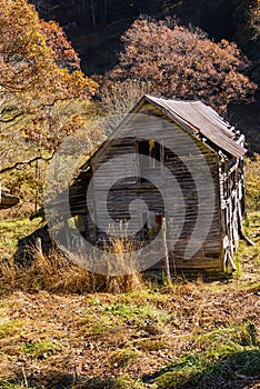 Old Barn Structure set in the Autumn Countryside
