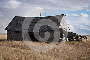 Old barn in a weathered field of dried grass, illuminated by a bright blue sky overhead