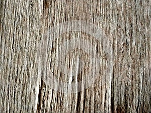 Old barn wood background texture.