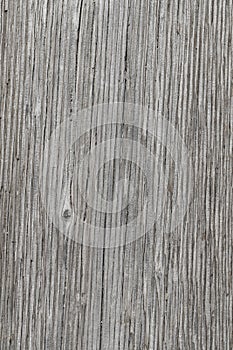 Old barn wood background texture