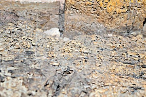 old barn wood background texture