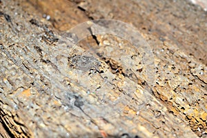 old barn wood background texture