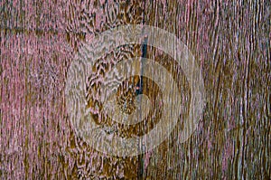 Old barn wood texture background